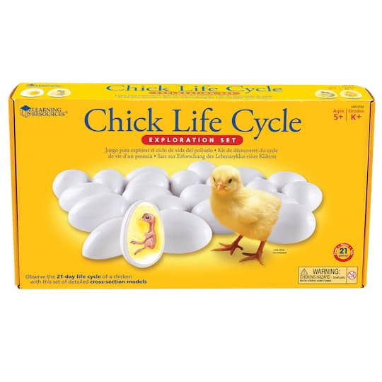 Learning Resources&#xAE; Chick Life Cycle Exploration Set